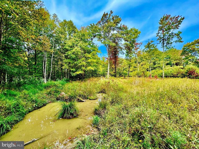 TBD Knobtown Rd, Belington, WV 26250