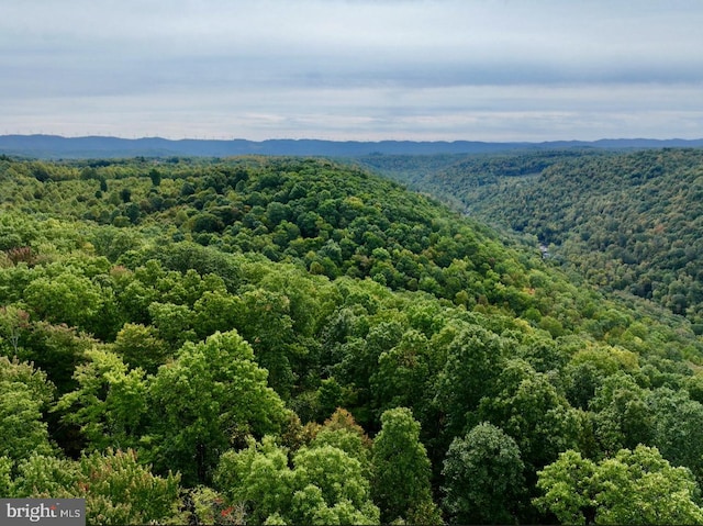 TBD Knobtown Rd, Belington, WV 26250
