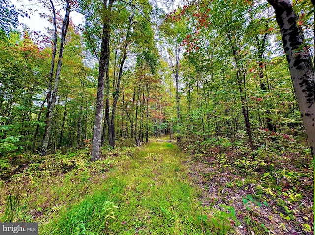 TBD Knobtown Rd, Belington, WV 26250
