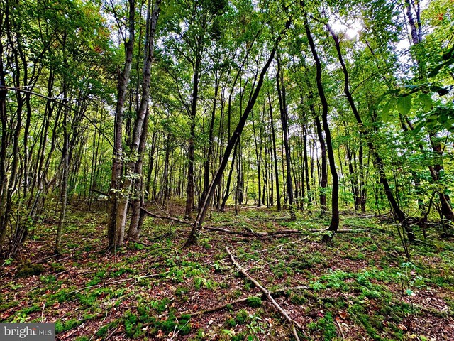 TBD Knobtown Rd, Belington, WV 26250