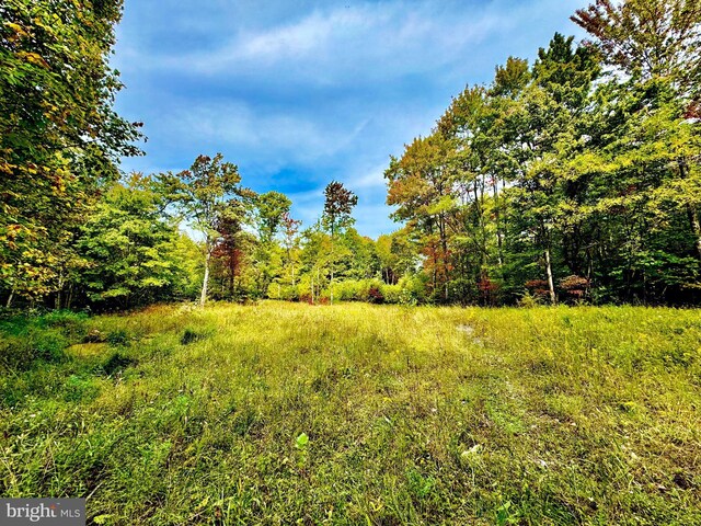 TBD Knobtown Rd, Belington, WV 26250