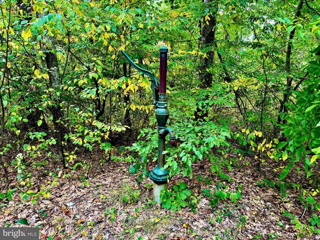 TBD Knobtown Rd, Belington, WV 26250