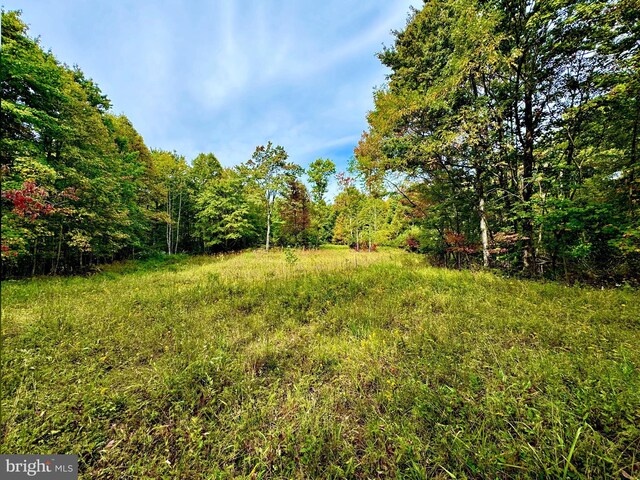 TBD Knobtown Rd, Belington, WV 26250