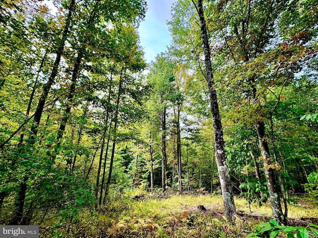 TBD Knobtown Rd, Belington, WV 26250