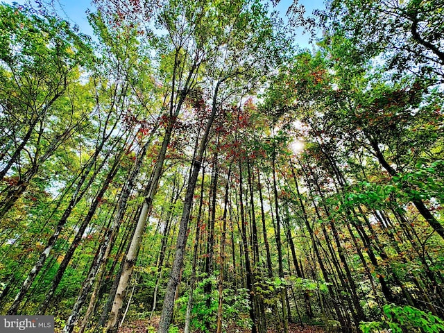 TBD Knobtown Rd, Belington, WV 26250