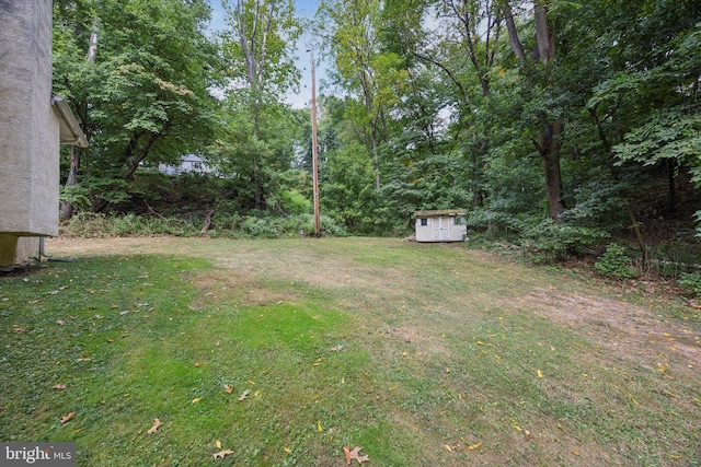 view of yard featuring a storage unit