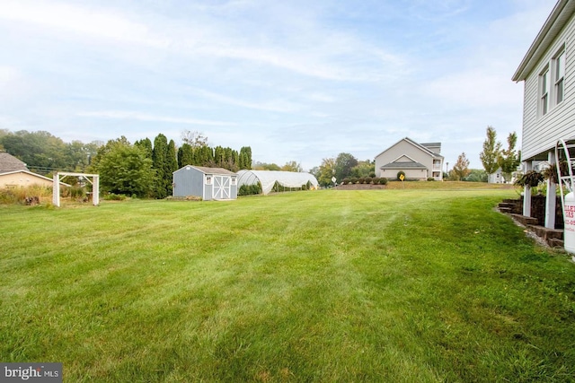 view of yard with a storage shed