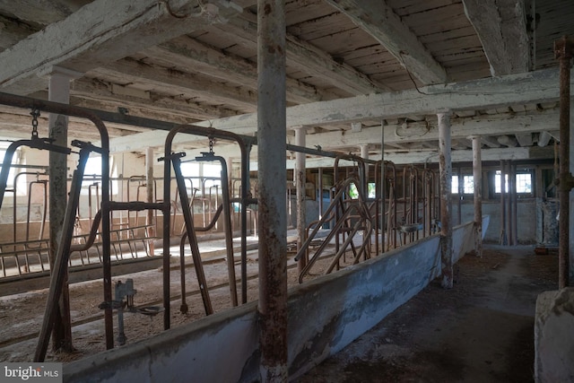 view of horse barn