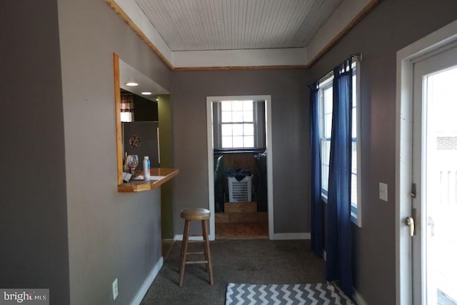 entryway featuring carpet flooring