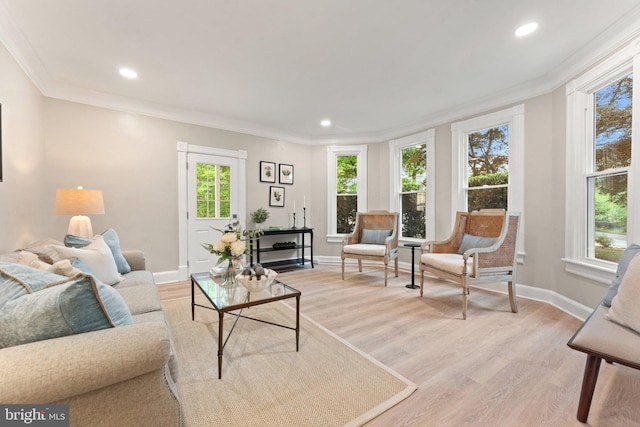 living room featuring light hardwood / wood-style flooring and crown molding