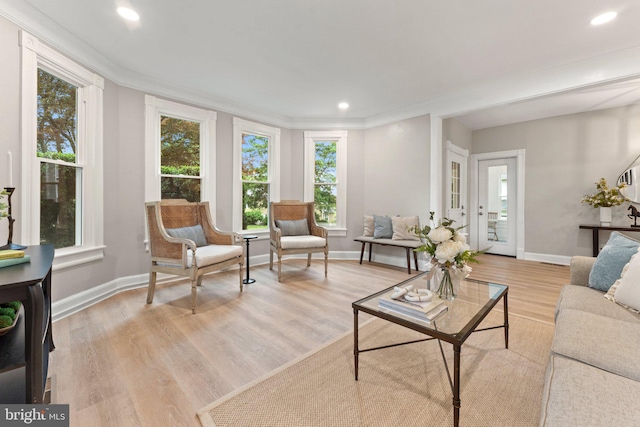 living room featuring light hardwood / wood-style flooring