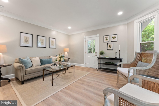 living room featuring ornamental molding and light hardwood / wood-style floors