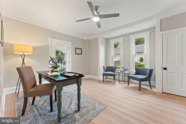 home office with ornamental molding, light wood-type flooring, and ceiling fan