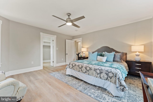 bedroom featuring ceiling fan, light hardwood / wood-style flooring, a walk in closet, and a closet