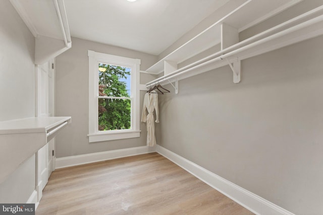 walk in closet with light wood-type flooring