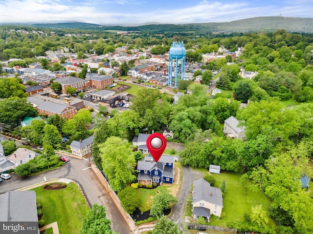 bird's eye view