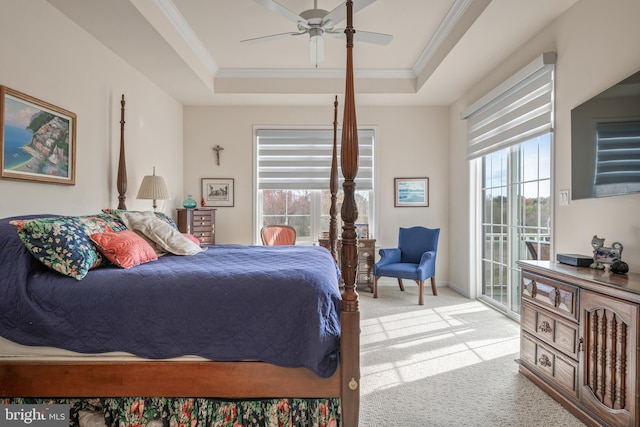 carpeted bedroom with ceiling fan, a raised ceiling, and multiple windows