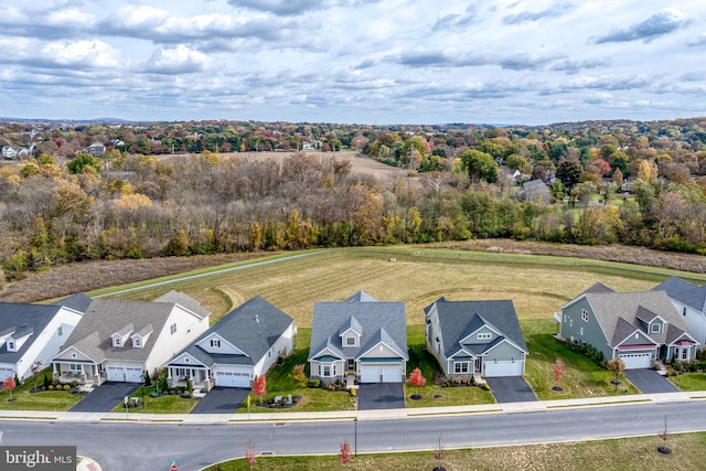 bird's eye view