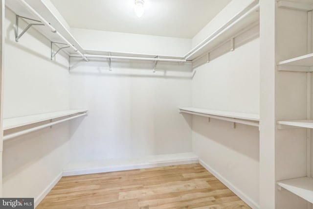 walk in closet featuring hardwood / wood-style floors