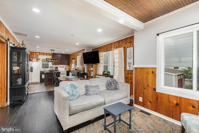 living room with wooden walls, a barn door, dark hardwood / wood-style flooring, and a healthy amount of sunlight