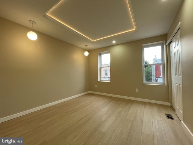 unfurnished room featuring a wealth of natural light, light hardwood / wood-style floors, and a raised ceiling