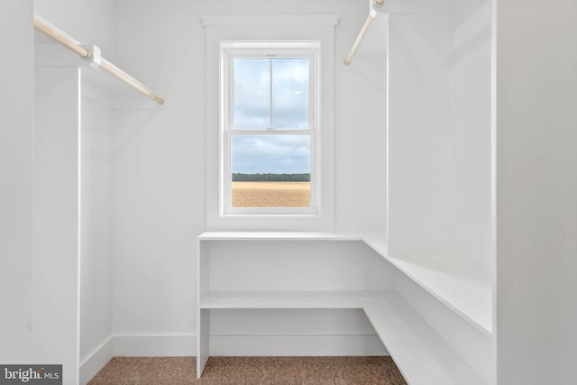 spacious closet featuring carpet flooring