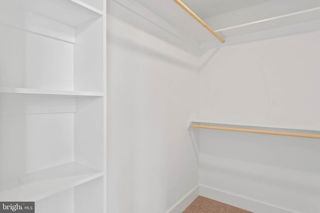 spacious closet with carpet floors