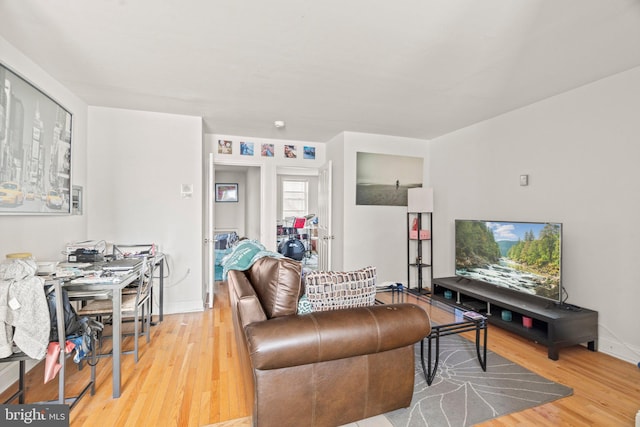 living room featuring wood-type flooring