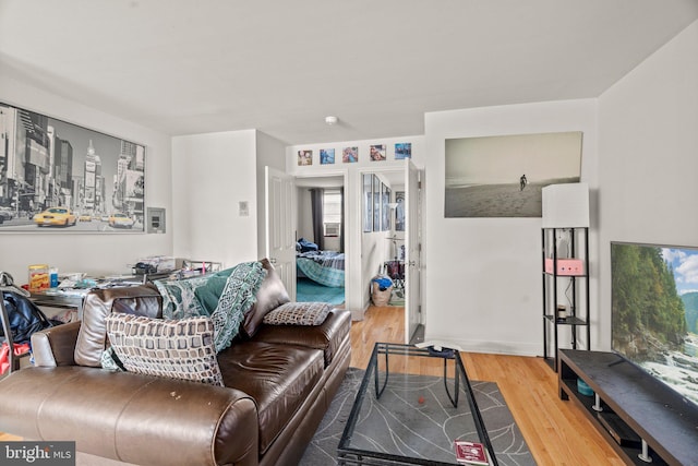 living room with wood-type flooring