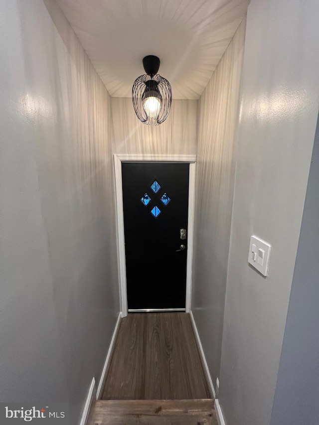 doorway to outside with dark hardwood / wood-style floors