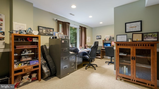 office featuring light colored carpet