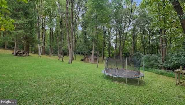 view of yard featuring a trampoline and a shed