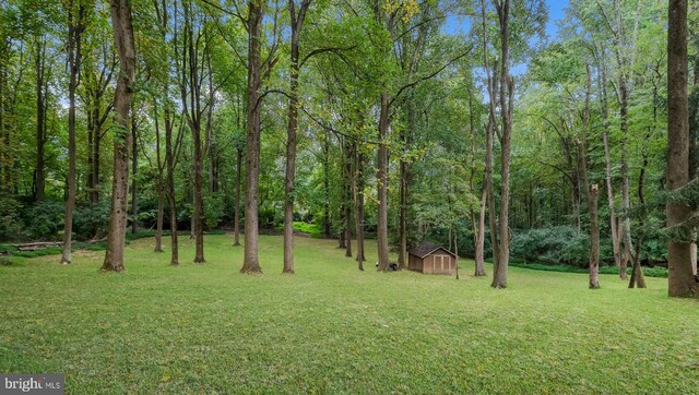 view of yard with a storage shed