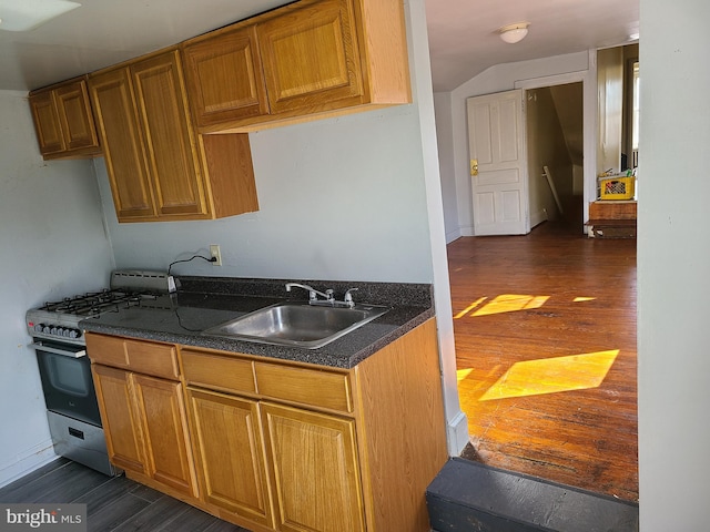 kitchen with high end stove, dark wood-type flooring, and sink