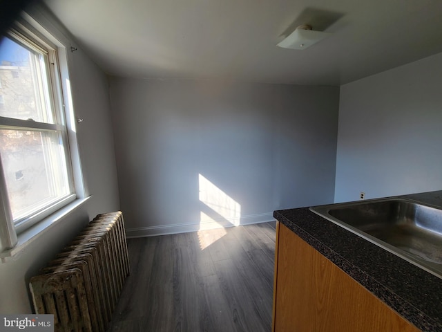 kitchen with radiator, dark hardwood / wood-style floors, sink, and a healthy amount of sunlight