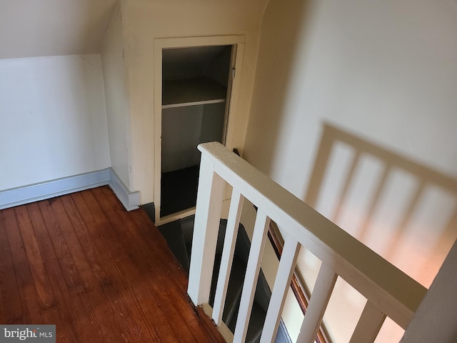 hall featuring dark wood-type flooring