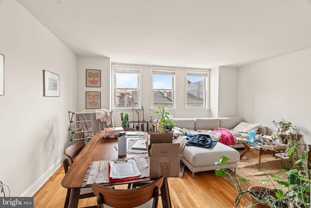 dining space with light hardwood / wood-style flooring