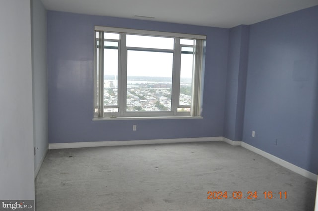 spare room featuring light colored carpet and plenty of natural light