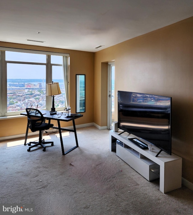 view of carpeted office