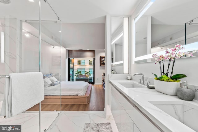 bathroom with hardwood / wood-style flooring and vanity