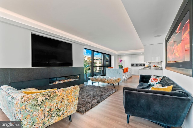 living room with light hardwood / wood-style floors and sink