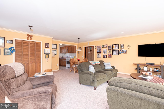 living room featuring crown molding and carpet