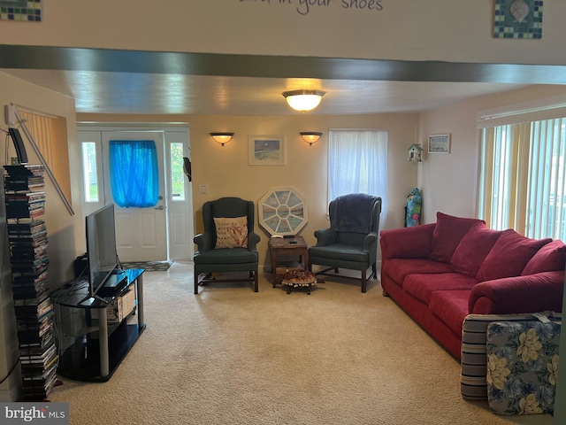 living room featuring carpet flooring