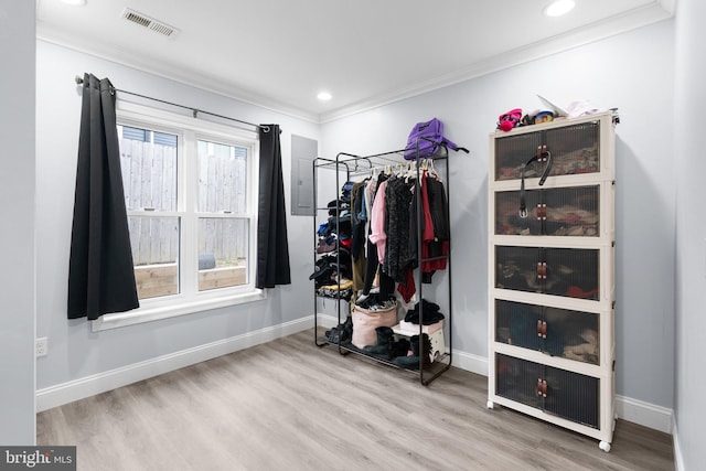 spacious closet with electric panel and hardwood / wood-style floors