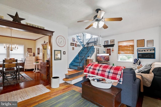 living room with wood-type flooring, a textured ceiling, ceiling fan with notable chandelier, and crown molding