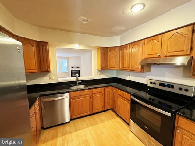 kitchen with light wood-type flooring, sink, and stainless steel appliances