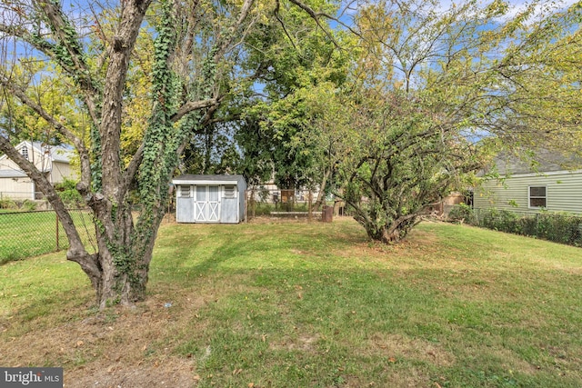 view of yard with a storage shed