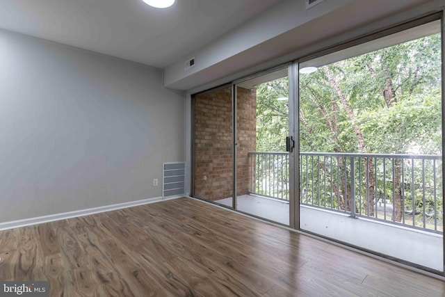 empty room featuring a wealth of natural light and hardwood / wood-style floors