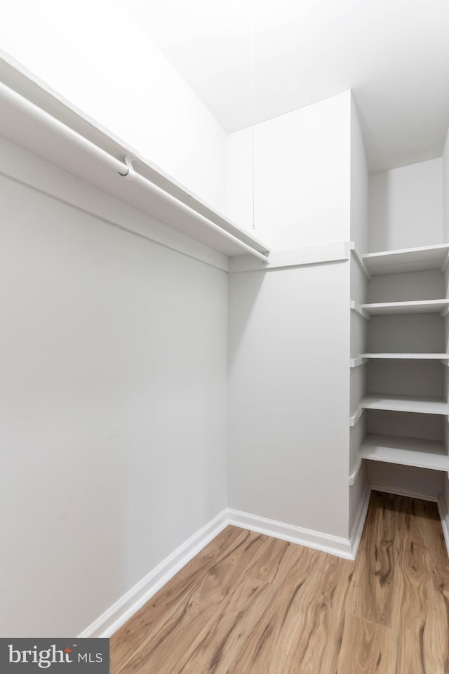 spacious closet with hardwood / wood-style floors