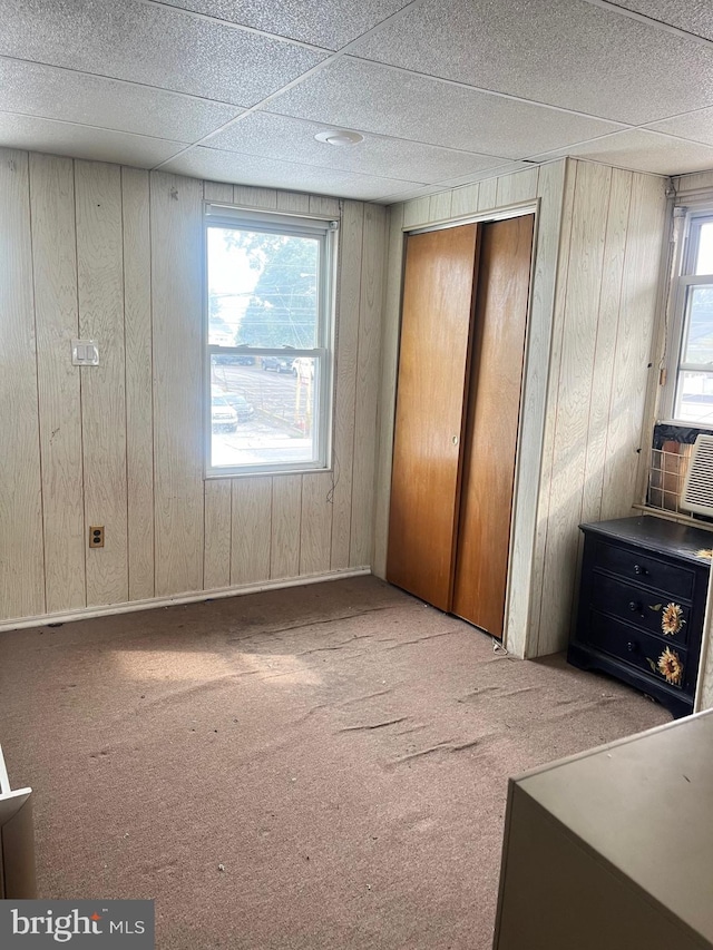 interior space with multiple windows, carpet flooring, wood walls, and a closet